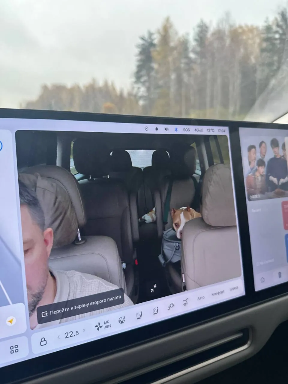 Изображение второго ряда и собаки с внутренней камеры Li Auto i8.